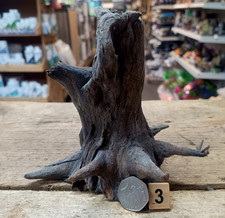 Small/Medium Corbo Root