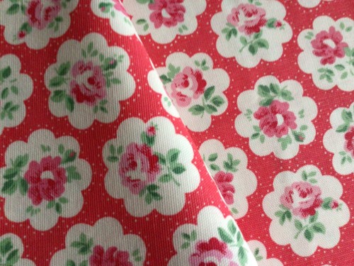 50cm square cath - x,