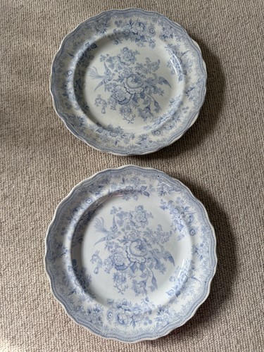 Vintage asiatic light blue - asiatic,