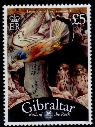 Gibraltar 2008 birds mnh - birds,