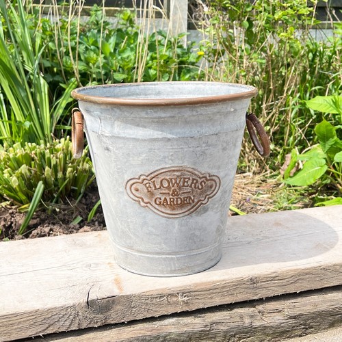 Garden planter plant - garden, cover
