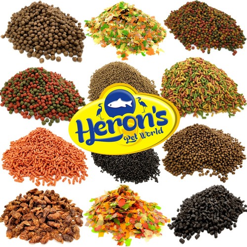 Herons pond food koi carp - pond,