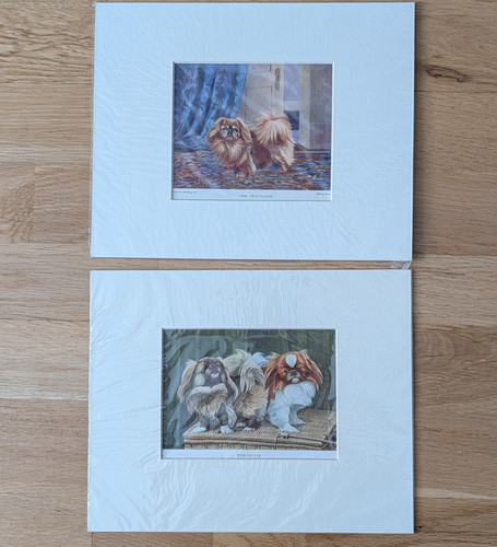 Vintage pekingese dog prints - 2,
