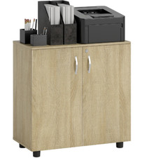 Vinsetto 2-Tier Locking Filing