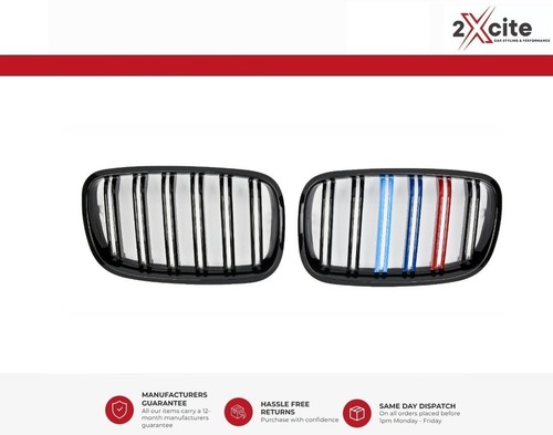 Kidney grills for bmw - kidney,