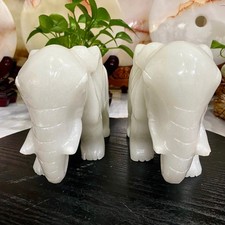 14LB 2 pieces of Chinese natural jade handmade carved elephant home decoration