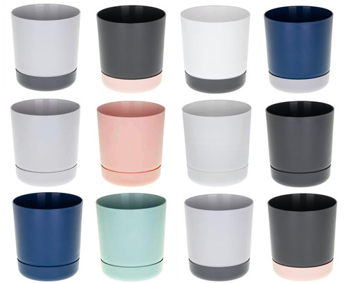 Plant pots with saucers indoor