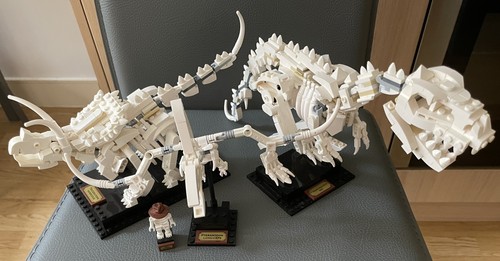 Lego ideas dinosaur fossils - ideas,