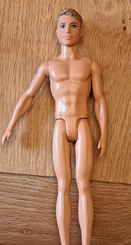 Barbie ken nude - ken, doll