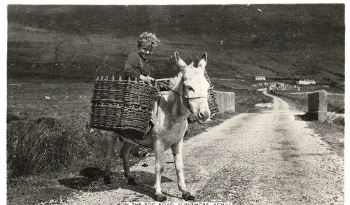 The bog road slievemore - road,