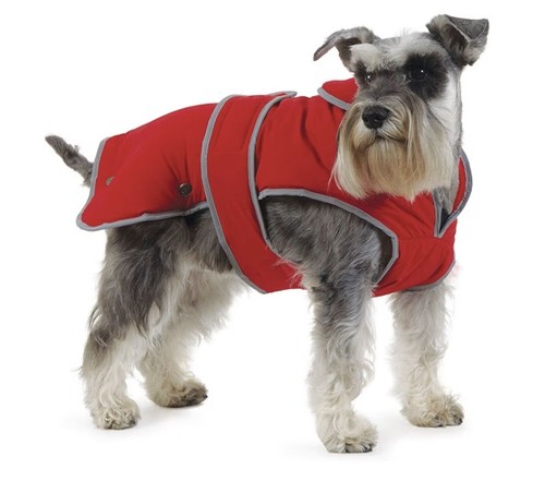 Ancol muddy paws - ancol, stormguard