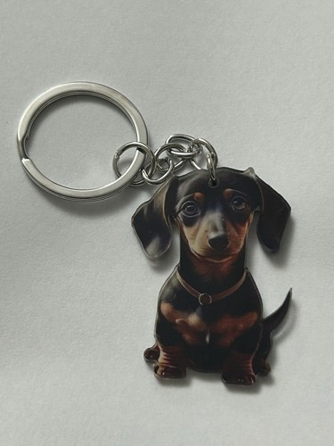 Dachshund sausage dog acrylic - dachshund,