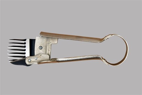 Sheep shears hand held - held, thumb