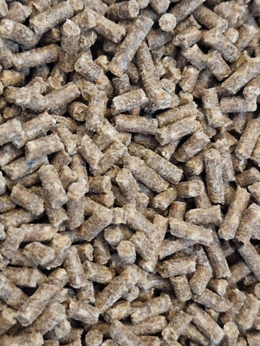 Bloodworm carp pellet 5mm - carp,