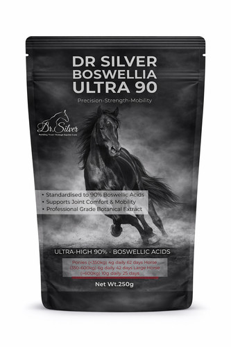 Silver boswellia ultra - dr,
