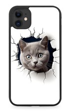 Grey British Shorthair Cat