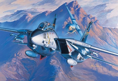 Academy pkay12471 14a tomcat - f-14a,