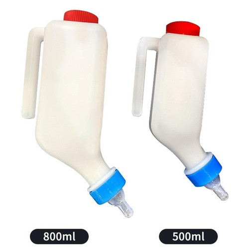 Sheep nursing bottle calf - nursing,