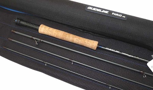 Guideline fario nt8 - fario, usa