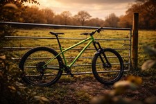 Ragley Big Wig Custom Build -