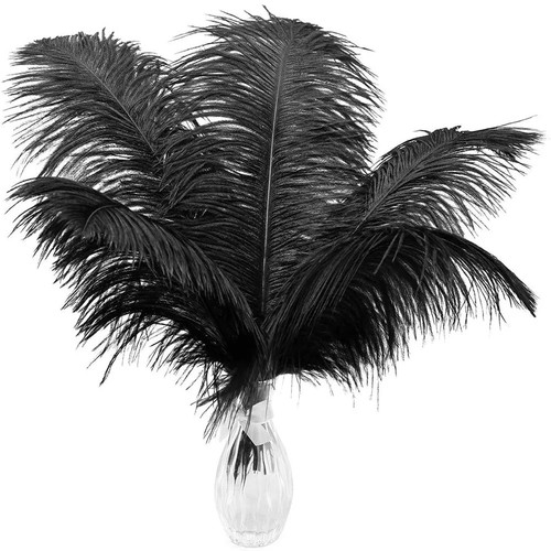 10pcs large ostrich feathers - large,