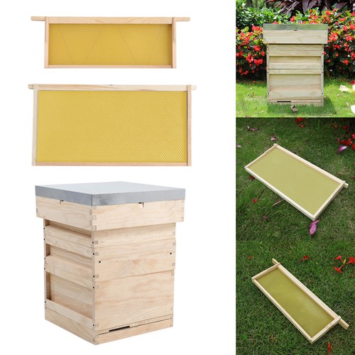 National wooden beehive bee - national,