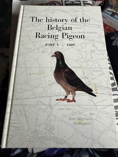 The history belgian - the,