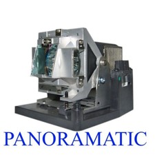 OEM Projector Lamp for