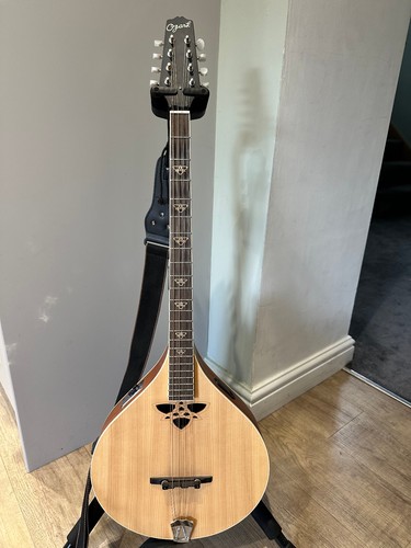 Ozark flatback bouzouki - flatback,