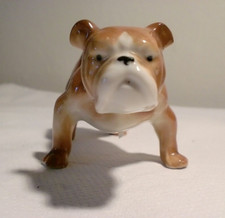 Vintage American Bulldog