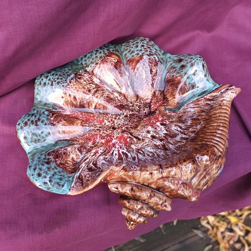 Studio pottery seashell - studio,