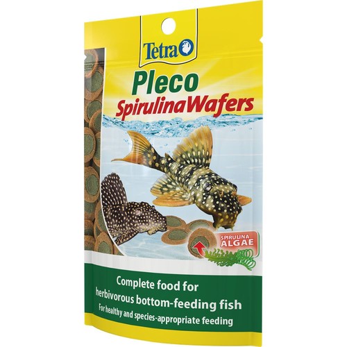 Tetra pleco spirulina algae - tetra,