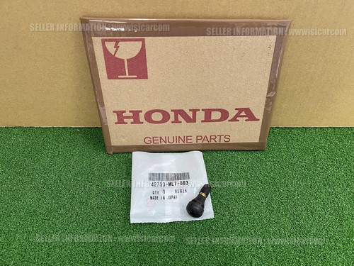 Honda cbr1100xx blackbird - honda,
