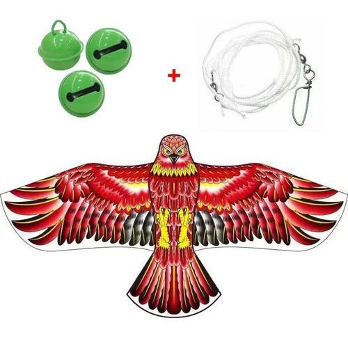 Anti bird flying - anti, hawk