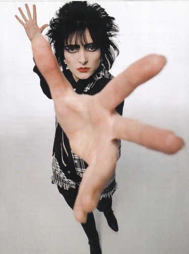 Siouxsie the banshees - &,