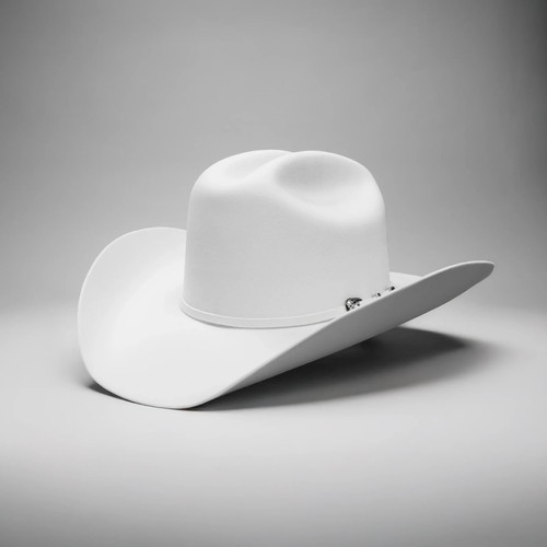 Texana 100x estilo - 100x, sinaloa