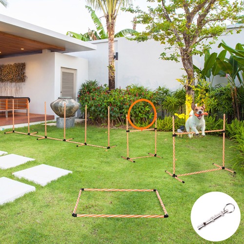 Pawhut pet agility training - pet,