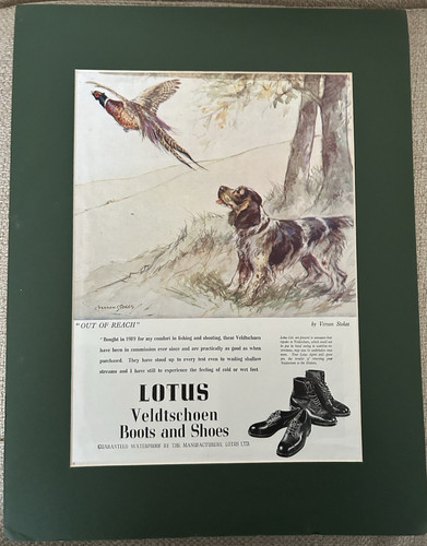 Antique print lotus boots - antique,