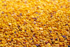 Raw Bee Pollen Granules - Organically Pure Superfood - Pylek Pszczeli 50g 1kg🐝