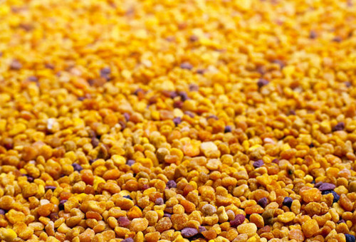 Raw bee pollen granules - bee,