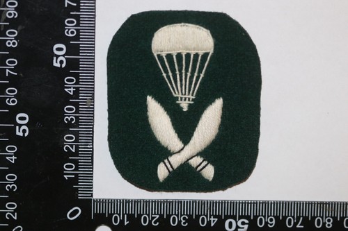 Indian airborne 154 battalion - airborne,
