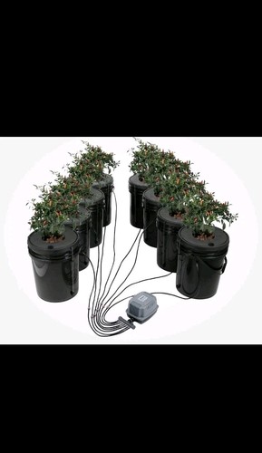 Vevor hydroponics deep water - vevor,