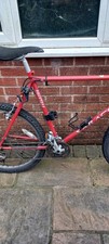 Large Frame Mans Bike