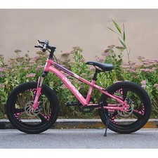 18'' Wheel Kids Bike Girls Pink Bicycle Cycling Disc Brake Cycle for Xmas Gifts