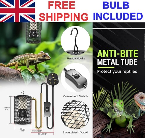 Reptile parrot aviary - reptile,