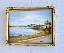 Scrabo Tower Strangford Lough