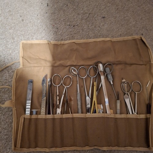 Vintage 1960s school biology - vintage,