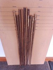 Hazel walking stick shanks x