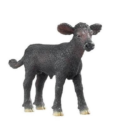 Black angus calf farm animal - black,