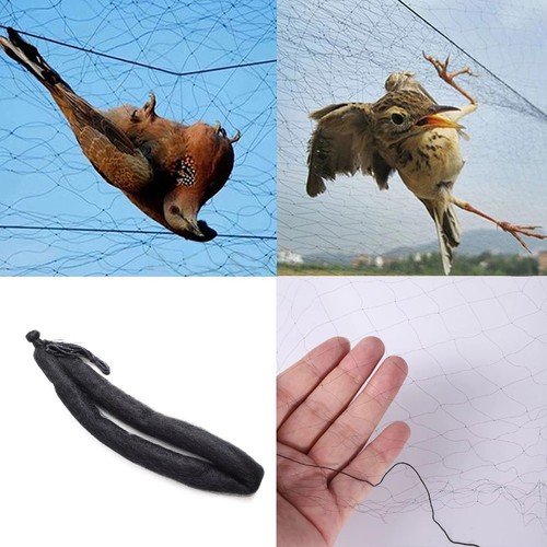 50m bird net nylon - 6-50m,